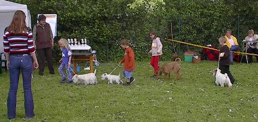 Kind+Hund